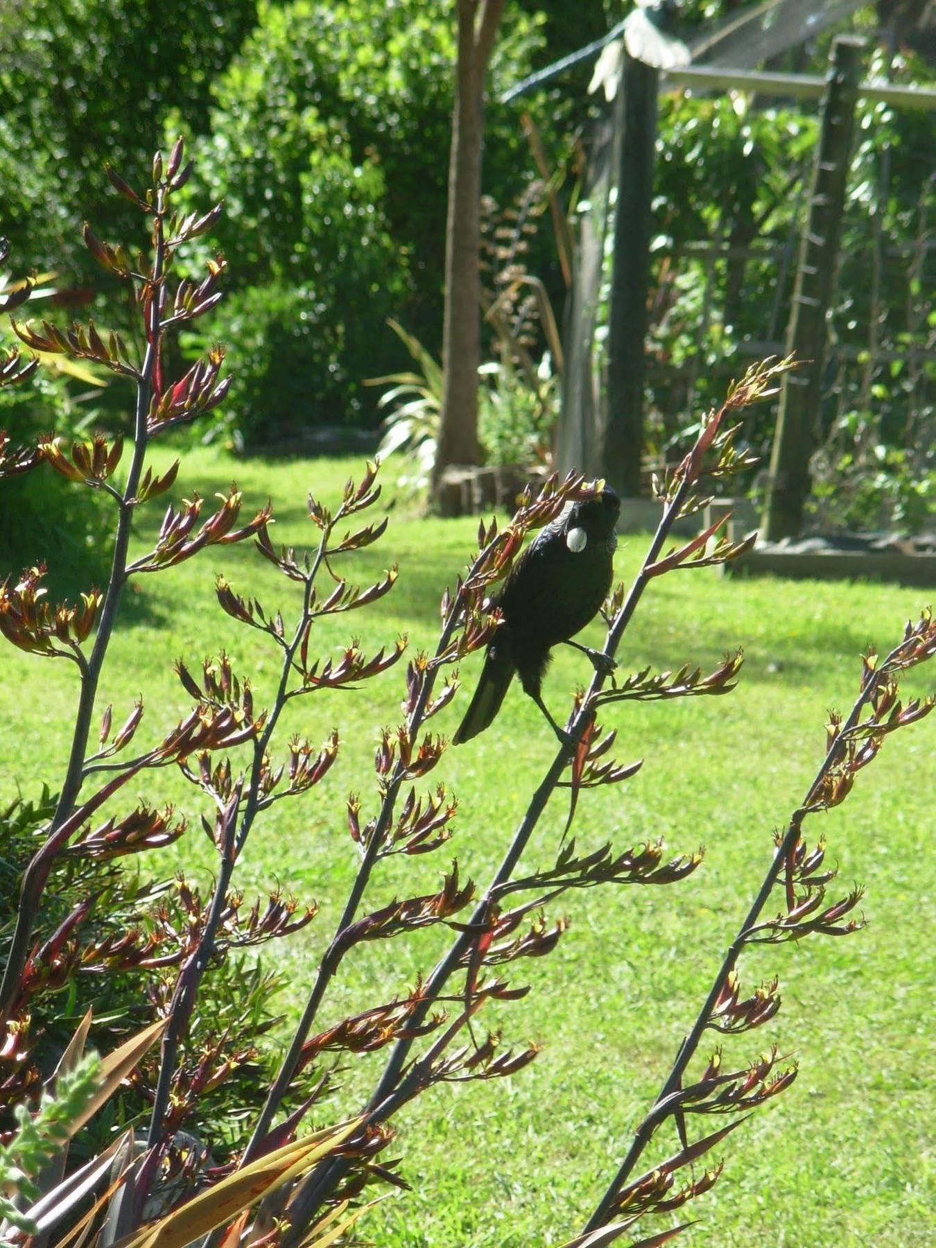 Villa Wetland View Park à Anatori Extérieur photo